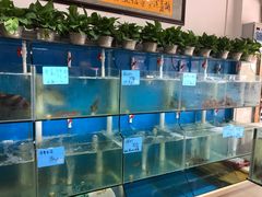-鑫悦楼煎蟹·16年海鲜大排档