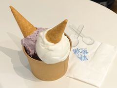 -歎雪糕低糖低脂Gelato冰淇淋