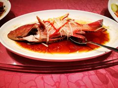 -上海新锦江大酒店