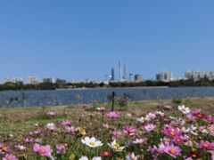 -海珠湖公园