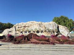 -北京西山国家森林公园