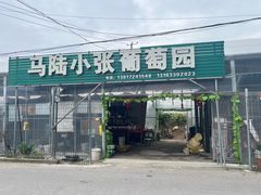 -马陆小张葡萄园农家乐