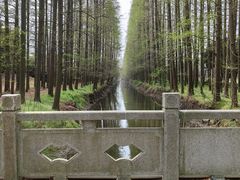 -金岛生态园烧烤露营地