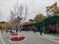-西海子公园