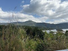 -海南热带雨林国家公园吊罗山景区