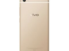 -城市海洋国标恒温游泳馆(株洲体育中心店)