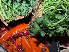 -阳阳老火锅(小南门店)