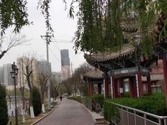 -雁滩公园