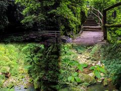 -碧峰峡风景区