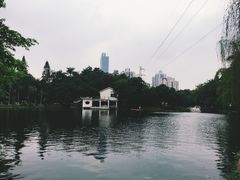-晓港公园
