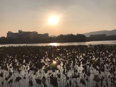 -江南大学(蠡湖校区)