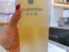 茉莉绿茶-茶百道(蔡锷北路店)