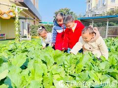 -无锡金色摇篮幼儿园(宝龙城市广场店)