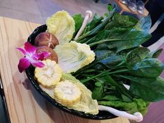 -淼福猪肚鸡·椰子鸡火锅(大沙地店)
