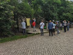 -紫金山山顶公园