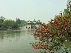 -黄海国家森林公园