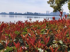 -南昌青山湖风景区