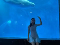 -海合安成都极地海洋公园
