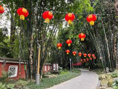 -望江楼公园