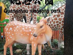 -晓港公园