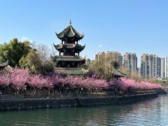 -望江楼公园