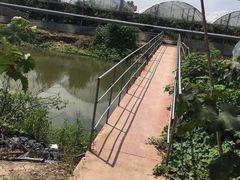 -马陆小张葡萄园农家乐