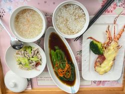 -中法母婴月子中心(南湖创始店)