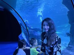 -左海海底世界