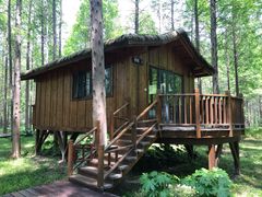 -黄海国家森林公园