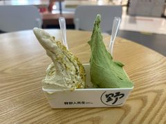 -野人先生Gelato(上海长宁龙之梦店)