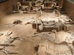 -洛阳周王城天子驾六博物馆