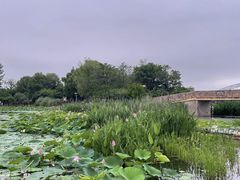 -澹台湖公园