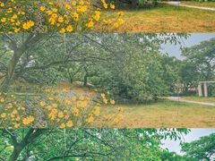 -青岛德国总督楼旧址博物馆