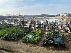-天目湖山水园