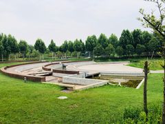-郑东新区湿地公园