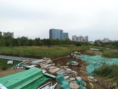 -西海子公园