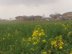 -中国天府农业博览园