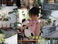 -自由生长植物工作室(深港花卉中心店)