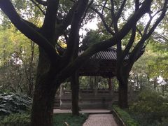 -汇龙潭
