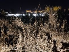 -郑东新区龙湖公共艺术中心