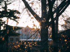 -腾爱熊猫咖啡生活馆(老东门店)