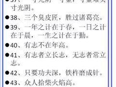 -深圳市福田区外国语小学(景秀校区)