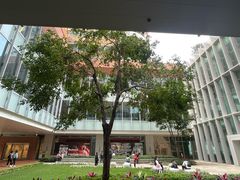 -香港大学