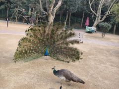 -杭州野生动物世界