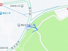 -紫金山山顶公园