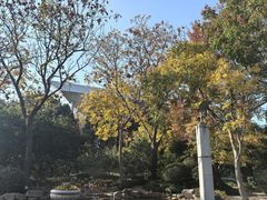 -上海科技馆(地铁站)