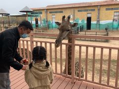 -鄂尔多斯野生动物园