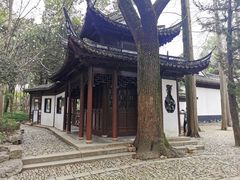 -汇龙潭