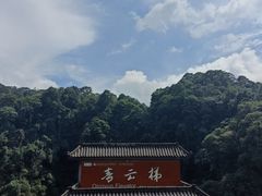 -碧峰峡风景区