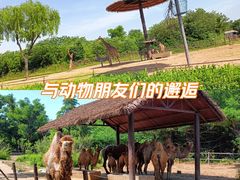 -济南野生动物世界